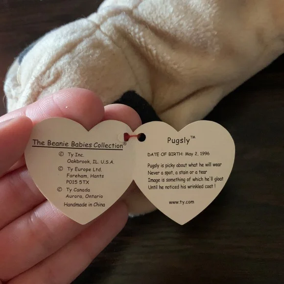 Ty Puglsy with Errors - Picture 4 of 10